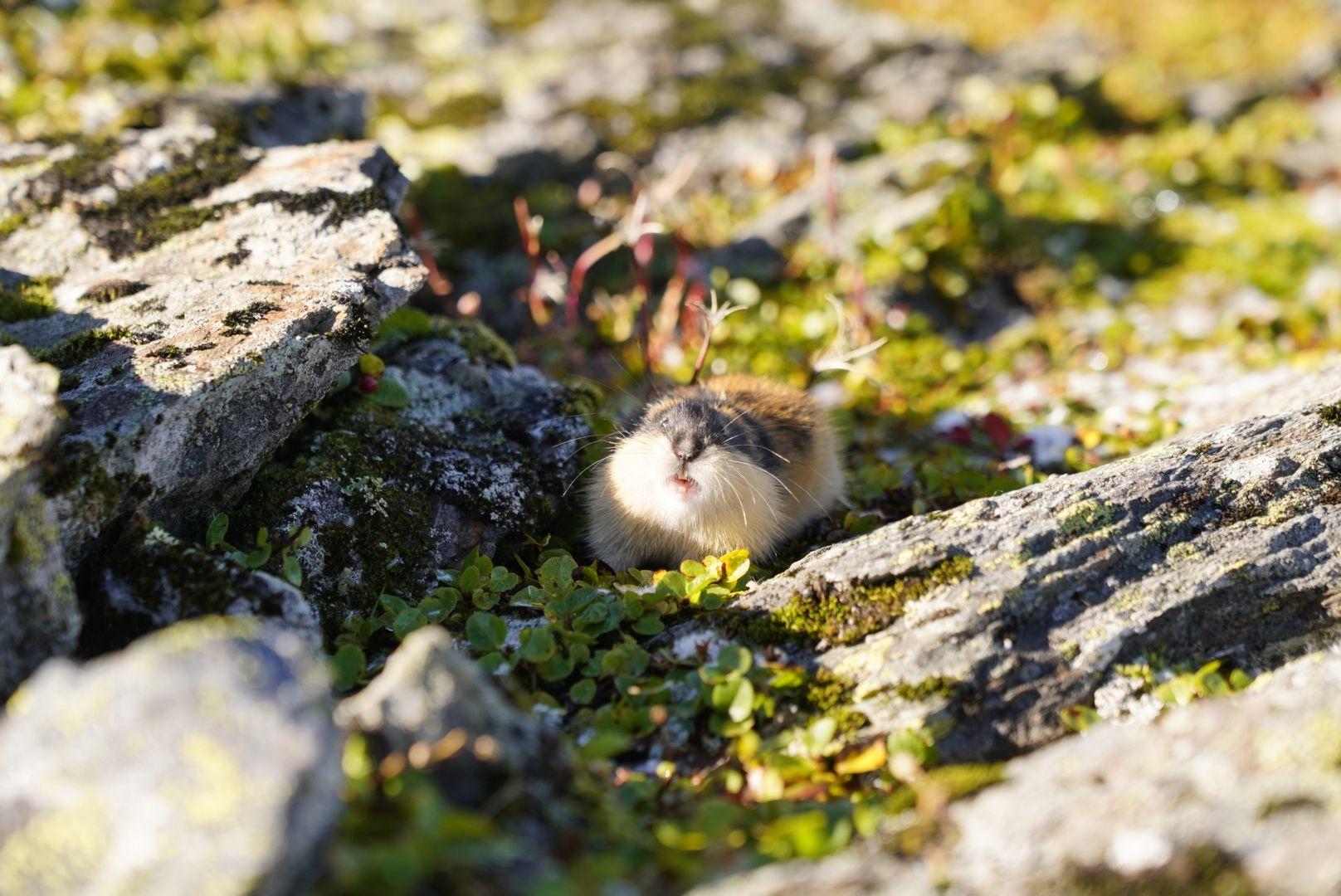Norwegen 2024 - Teil I